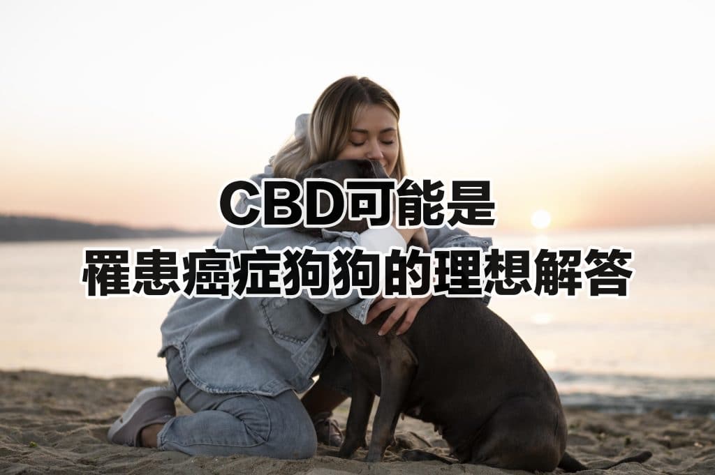 OverTure+/寵物CBD/ 寵物CBD幫助罹患癌症的狗狗