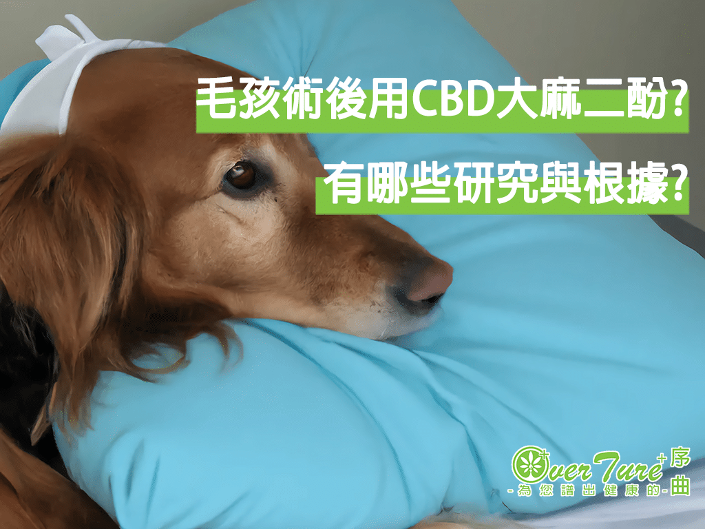 序曲CBD/大麻二酚與BALP的相關研究/寵物術後保健