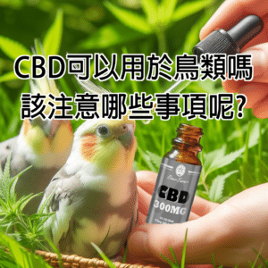 CBD_FOR_BIRD