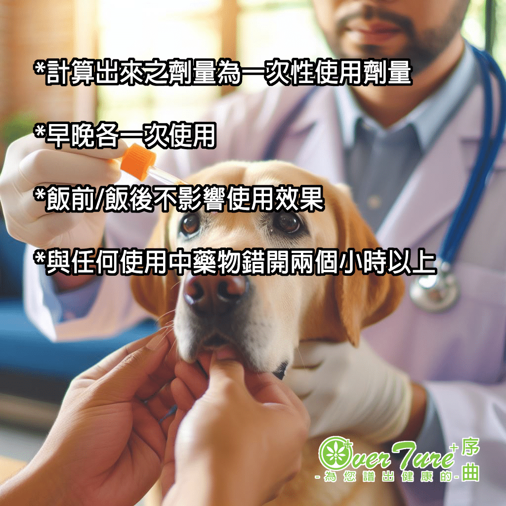 Things to note when feeding your pet CBD/OverTure+/序曲CBD/寵物CBD使用須知